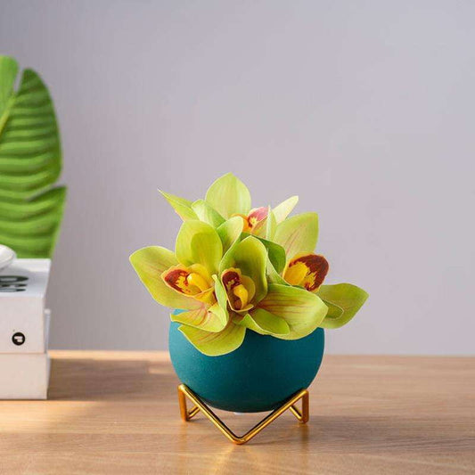 Desktop Ceramic Ornaments, Living Room Desk Decor, Mini Plant Decorations - available at Sparq Mart