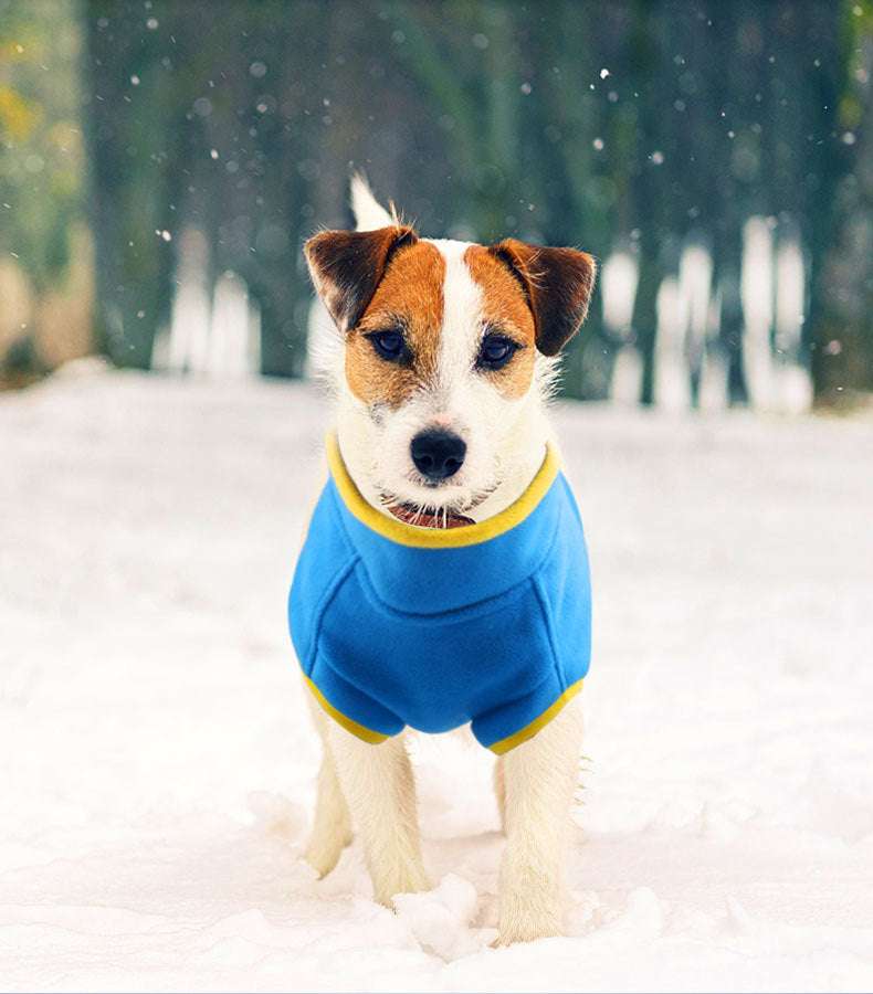 Colorful pet clothing, Thick fleece sweater, Warm pet sweater - available at Sparq Mart