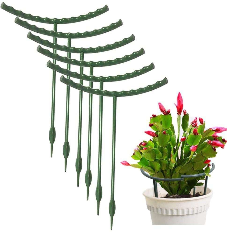 Climbing Vines, Garden Trellis, Premium - available at Sparq Mart