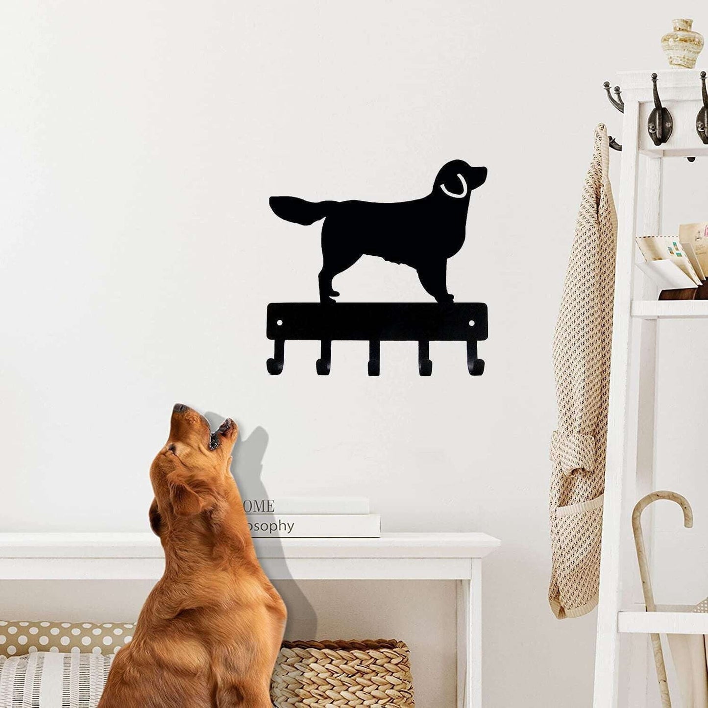 Dog key hook, Iron key organizer, Metal wall hanger - available at Sparq Mart